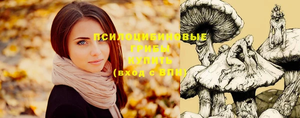 a pvp Валдай