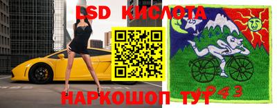 шишки Гусиноозёрск
