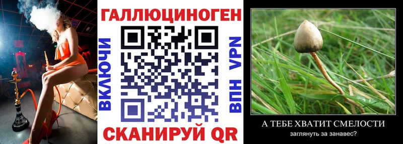 Псилоцибиновые грибы GOLDEN TEACHER  Карпинск 