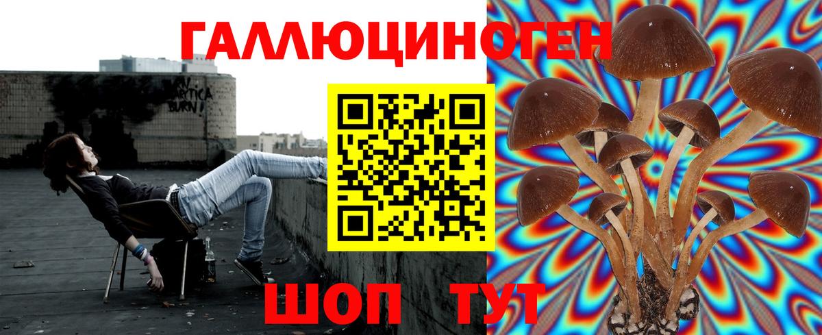 Псилоцибиновые грибы Magic Shrooms  Карпинск 