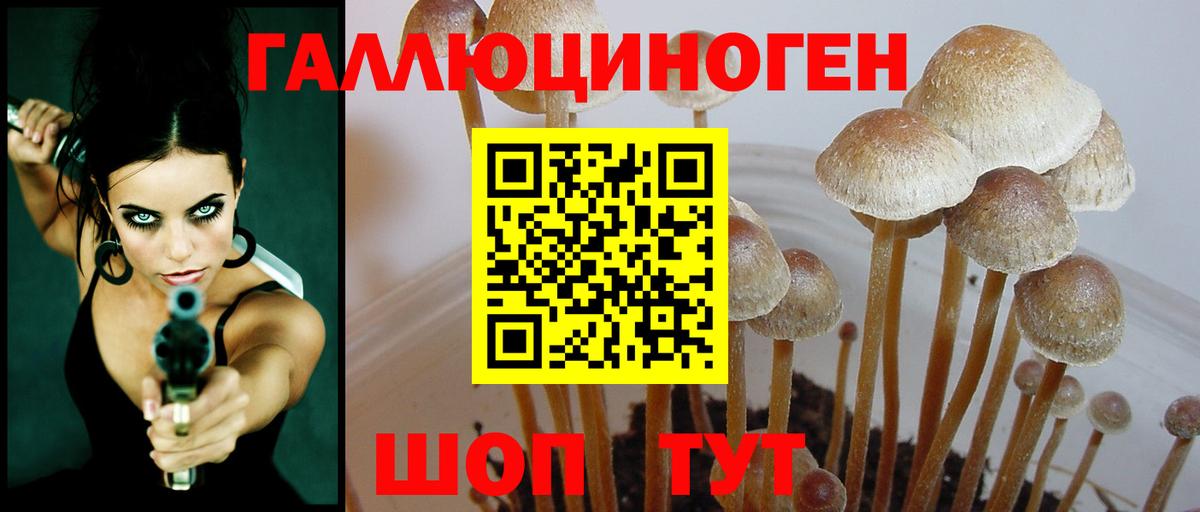 Карпинск  Псилоцибиновые грибы прущие грибы  Вход с VPN 
