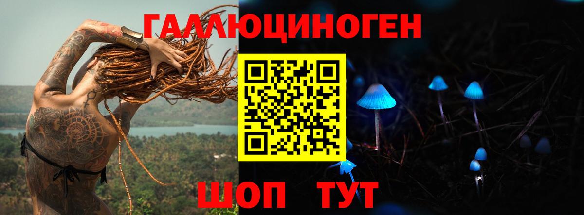 Галлюциногенные грибы Cubensis Карпинск