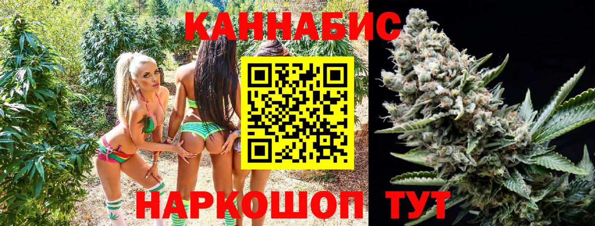 Каннабис сатива  Каннабис Ganja  МАРИХУАНА сатива  Каннабис индика  Карпинск  Вход с VPN 